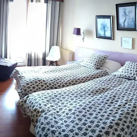 Hotel Vejo