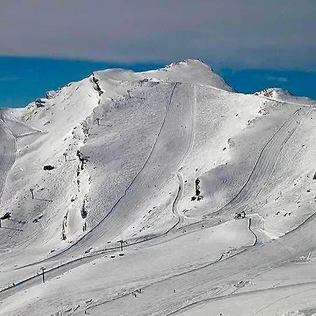 Vejo