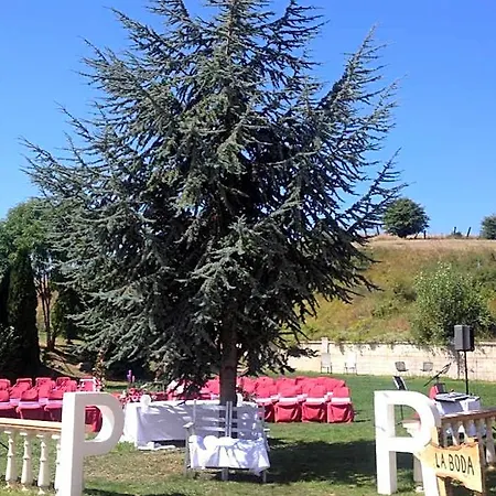 Vejo